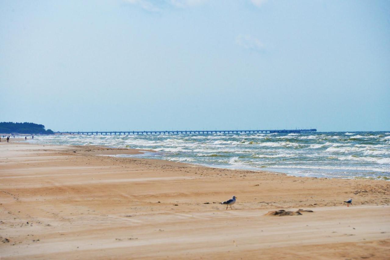 Apartment Gintarine Kopa Palanga